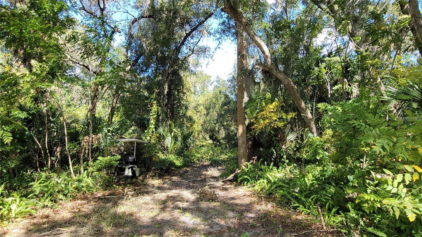 BLUE LAKE ADD/DELAND - Land