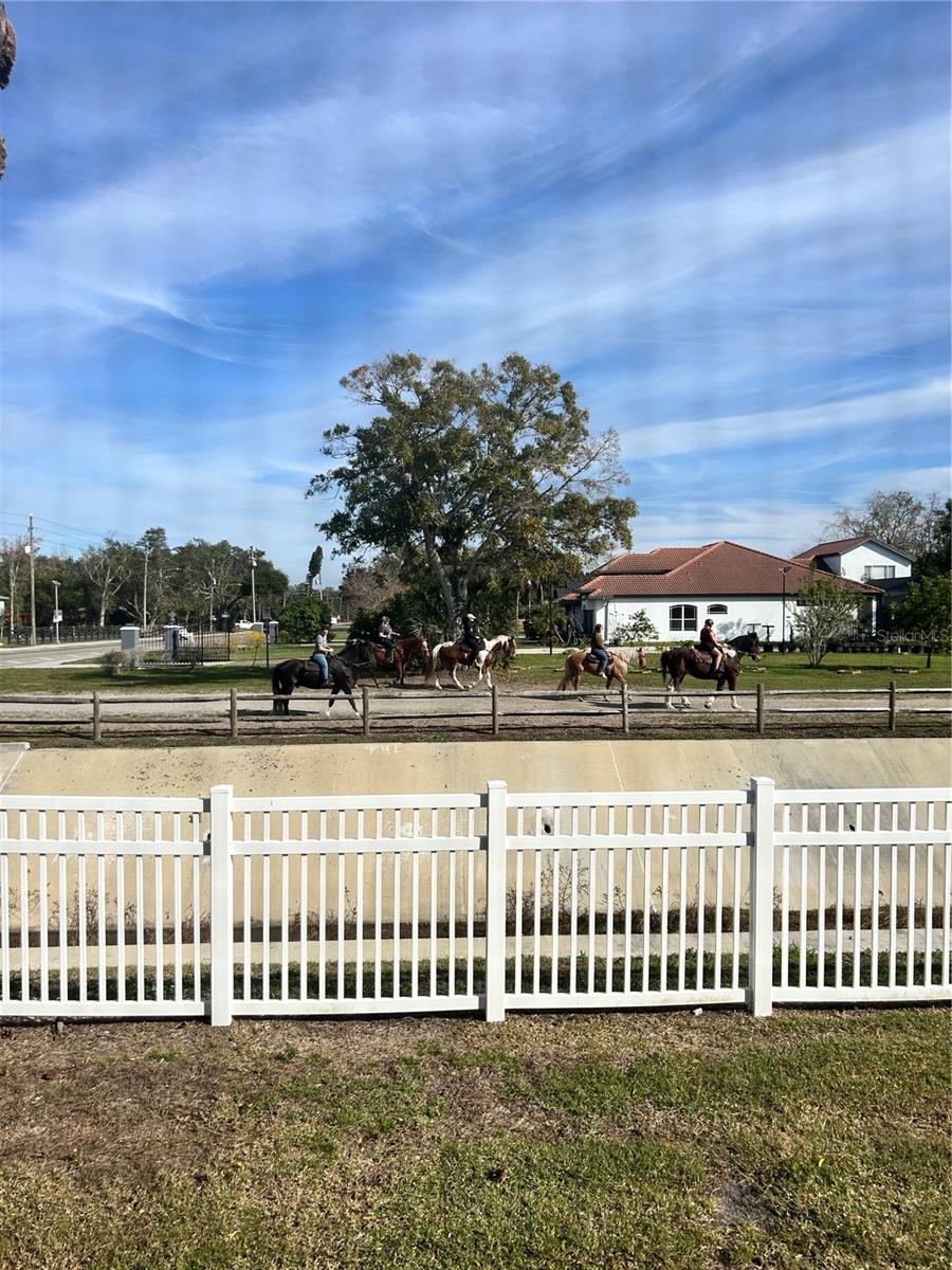 LAKE FOREST CONDO - Residential