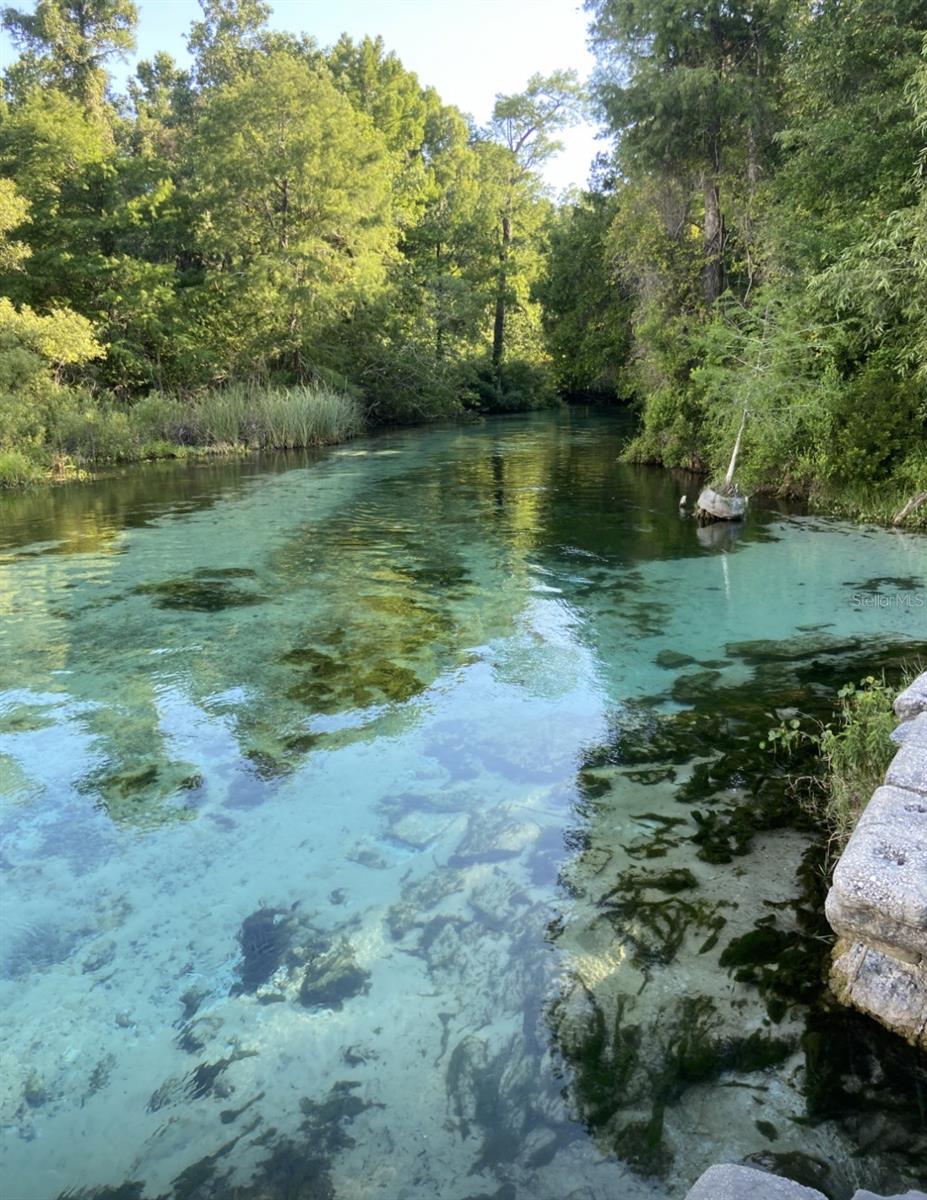 WEEKI WACHEE HILLS - Residential