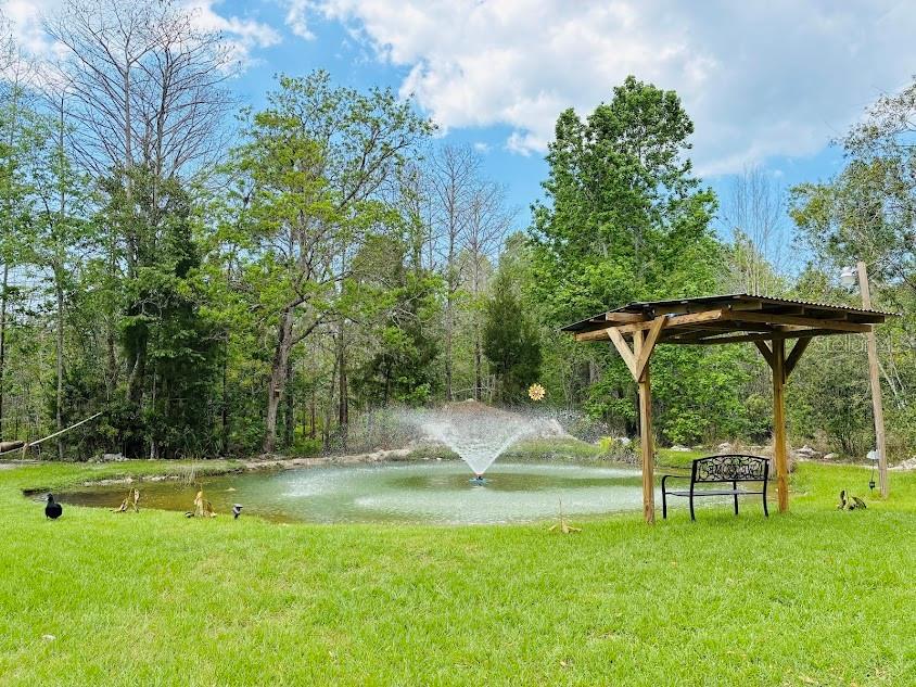 WEEKI WACHEE HILLS - Residential