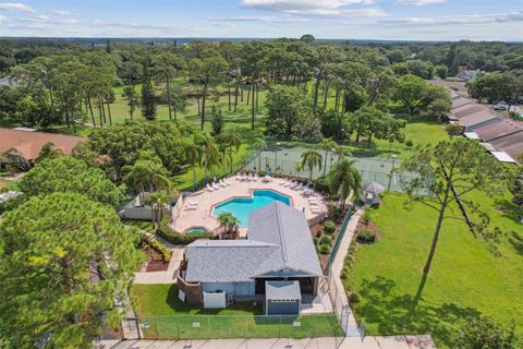 A home in PALM HARBOR