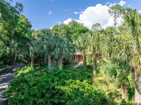 A home in MOUNT DORA