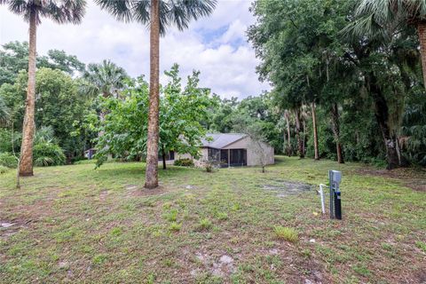 A home in MOUNT DORA