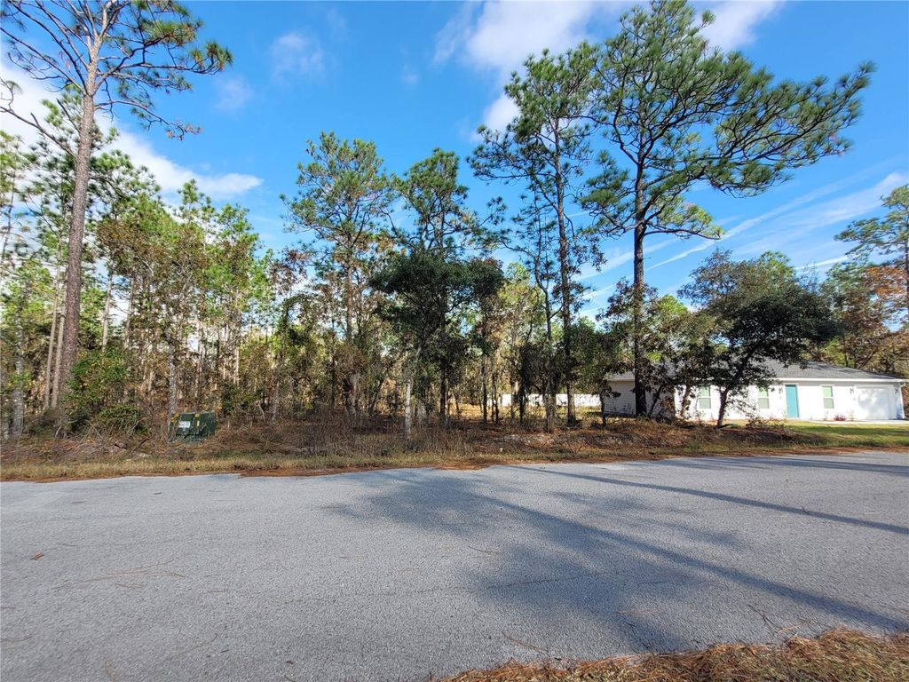 Photo of 0 NW Foxglove Lane, Dunnellon, FL 34431 (MLS # OM714399)
