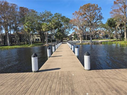 A home in PALM HARBOR