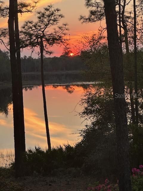 A home in OCKLAWAHA