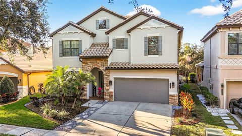 20308 ASH GROVE LANE TAMPA FL 33647