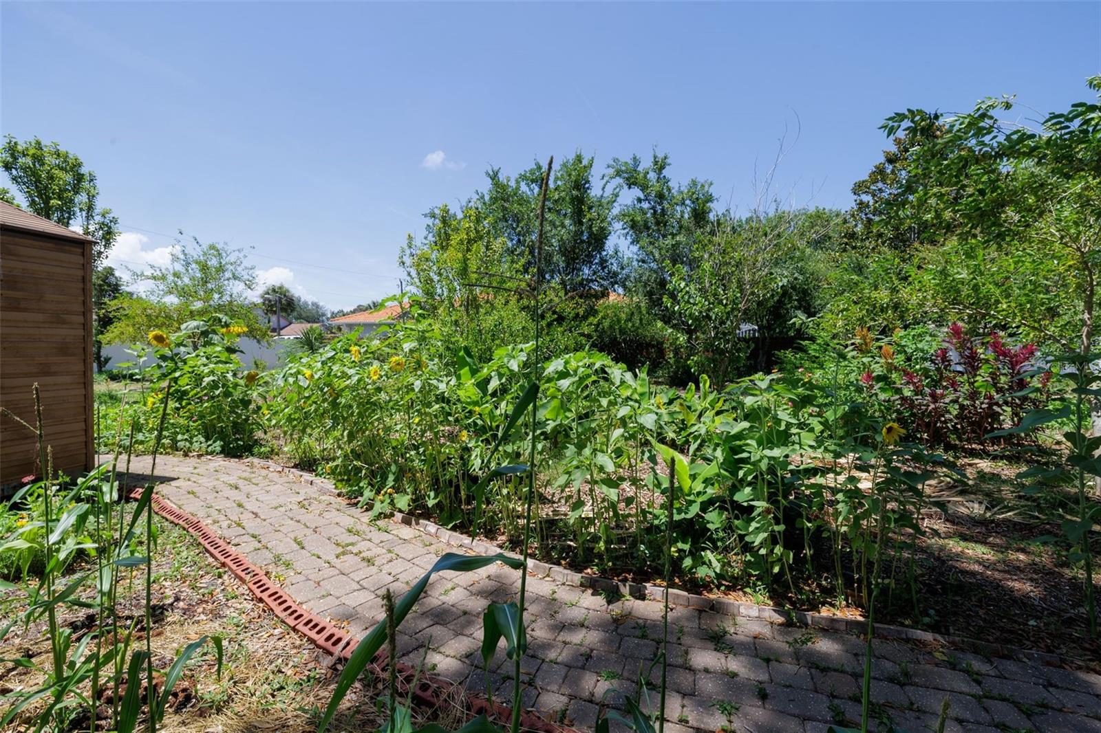 PALM HARBOR - Residential