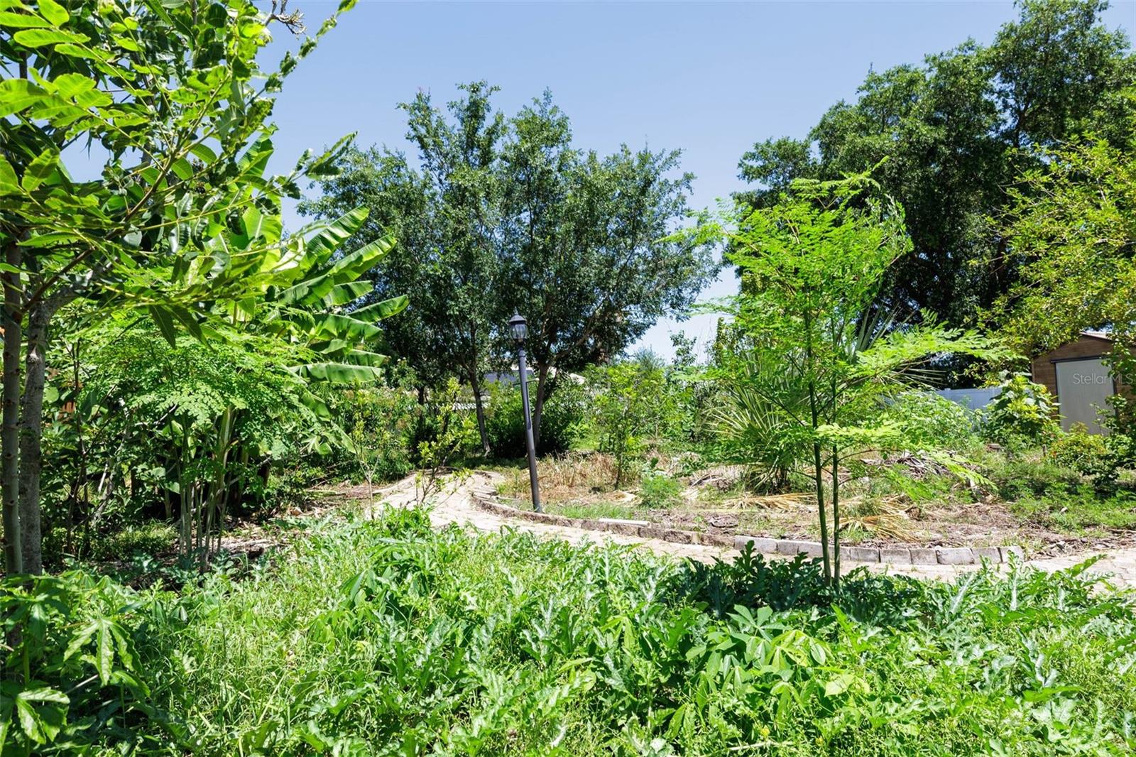 PALM HARBOR - Residential