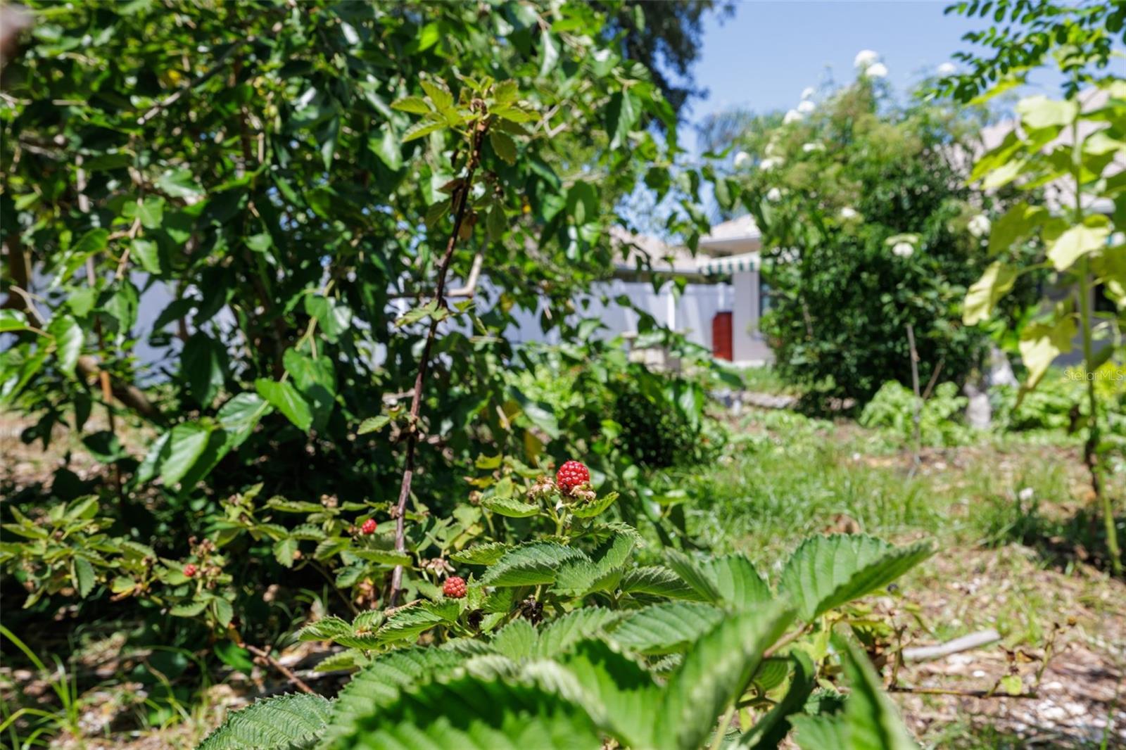 PALM HARBOR - Residential