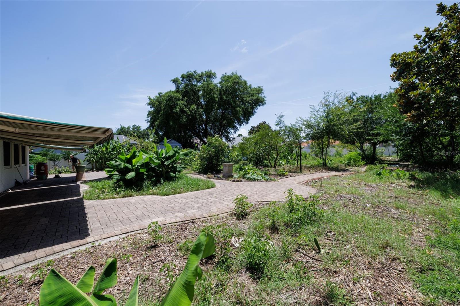 PALM HARBOR - Residential