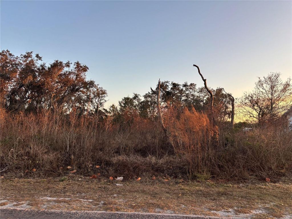 Photo of 2141 Allamanda Drive, Indian Lake Estates, FL 33855 (MLS # P4937809)