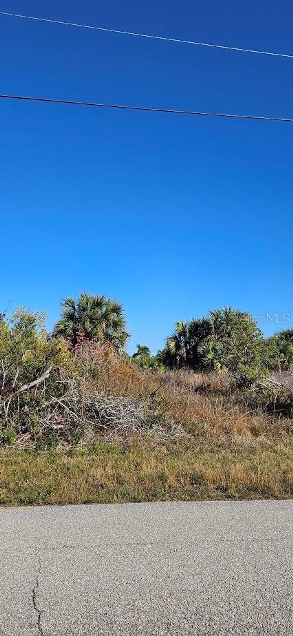 Photo of 10460 Mcalester Circle, Port Charlotte, FL 33981 (MLS # D6145640)