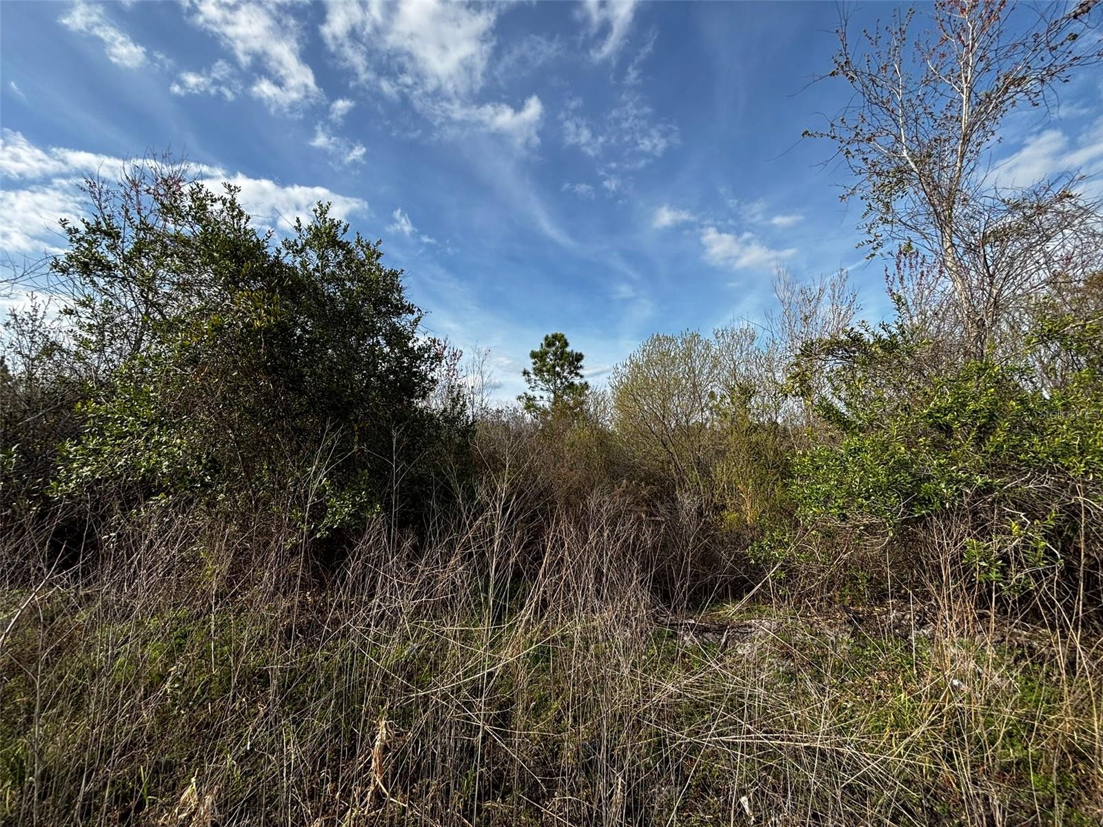 4125 QUAIL NEST LANE