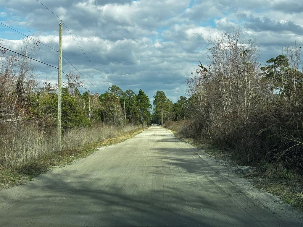 Photo of 4125 Quail Nest Lane, New Smyrna Beach, FL 32168 (MLS # O6389899)