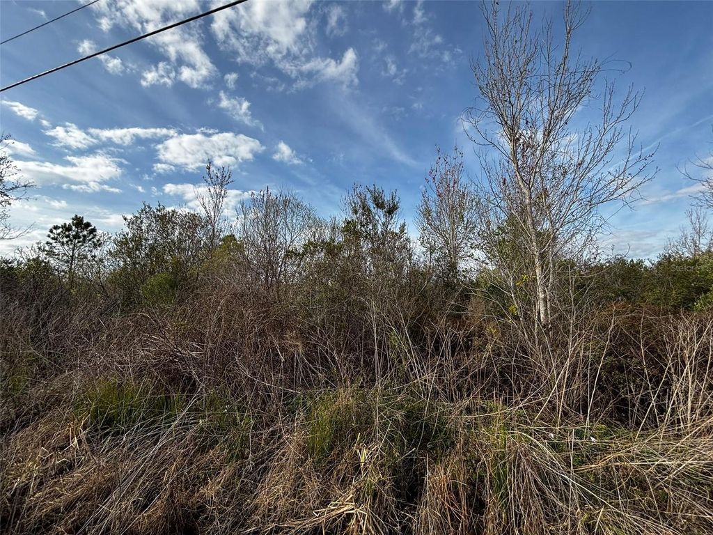 Photo of 4125 Quail Nest Lane, New Smyrna Beach, FL 32168 (MLS # O6389899)