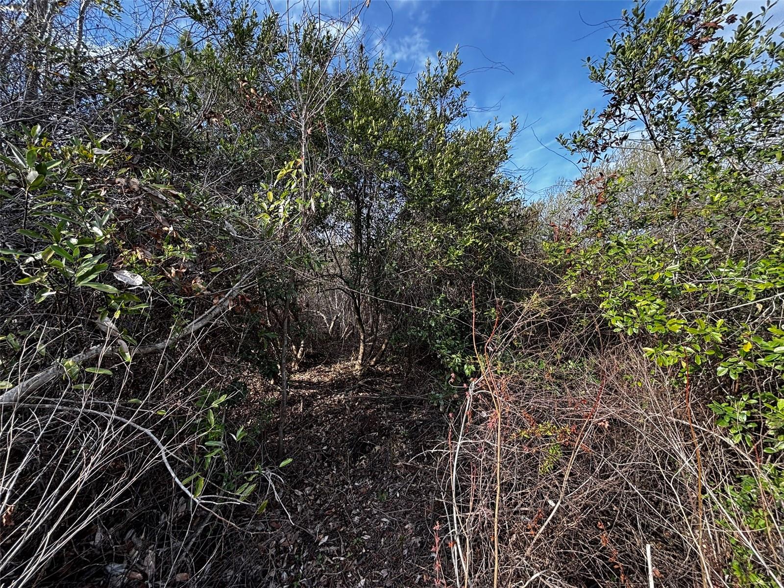 4125 QUAIL NEST LANE