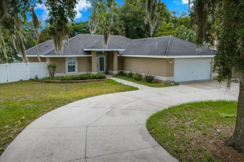 Tiny photo for 60 Owens Street, Umatilla, FL 32784 (MLS # G5114849)