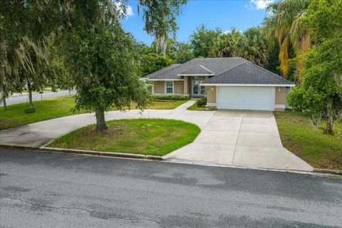 Photo of 60 Owens Street, Umatilla, FL 32784 (MLS # G5114849)