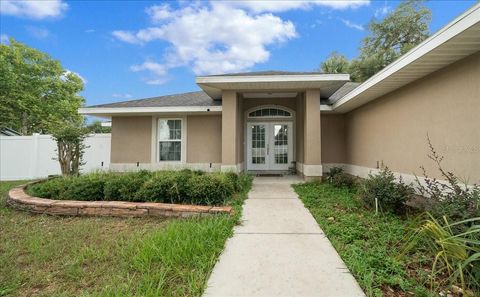 Tiny photo for 60 Owens Street, Umatilla, FL 32784 (MLS # G5114849)
