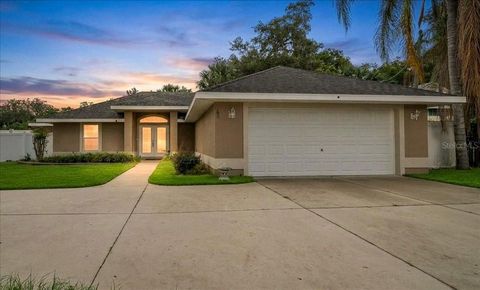 Tiny photo for 60 Owens Street, Umatilla, FL 32784 (MLS # G5114849)