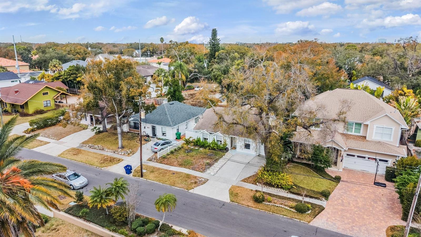 VIRGINIA PARK - Residential