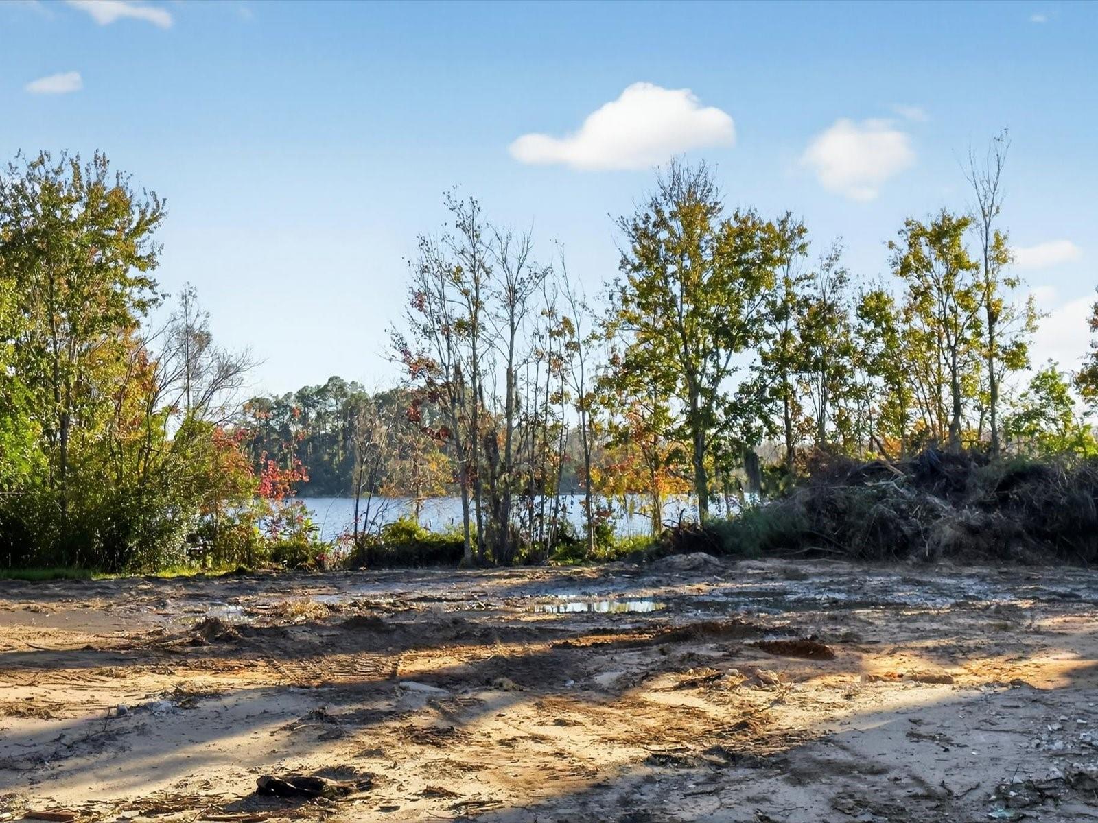 WILLIS R MUNGERS LAND SUB - Land