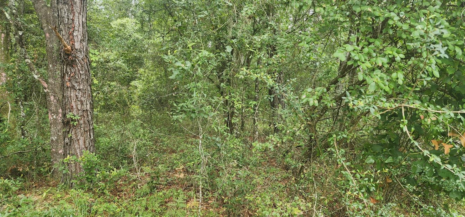 THE VILLAGE AT HIDDEN LAKES - Land