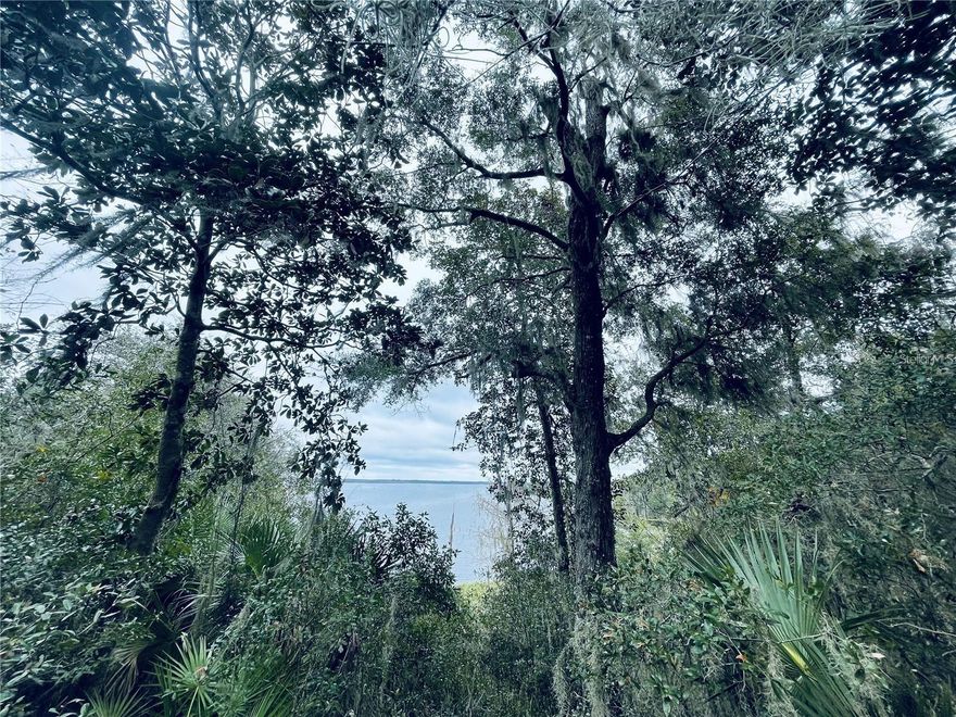 Paradise with a View – Lake Ocklawaha Awaits!

Perched high above the glistening waters of Lake Ocklawaha and bordered by pristine state land, this rare offering delivers million-dollar views and unmatched tranquility. Wake up to breathtaking sunrises over the lake, spend your days fishing world-class waters, or explore miles of trails and hunting grounds in the Ocala National Forest—all right at your doorstep.

Zoned A1, this property invites endless possibilities: build your dream home, cozy cabin, or manufactured retreat and enjoy the peace of country living—all within easy reach of Ocala, Gainesville, and Daytona.

And here’s the best part: Seller Financing Available.
Opportunities like this—lake view, private, and protected by state land—are almost never on the market. Don’t wait… your slice of lakeside paradise won’t last long.