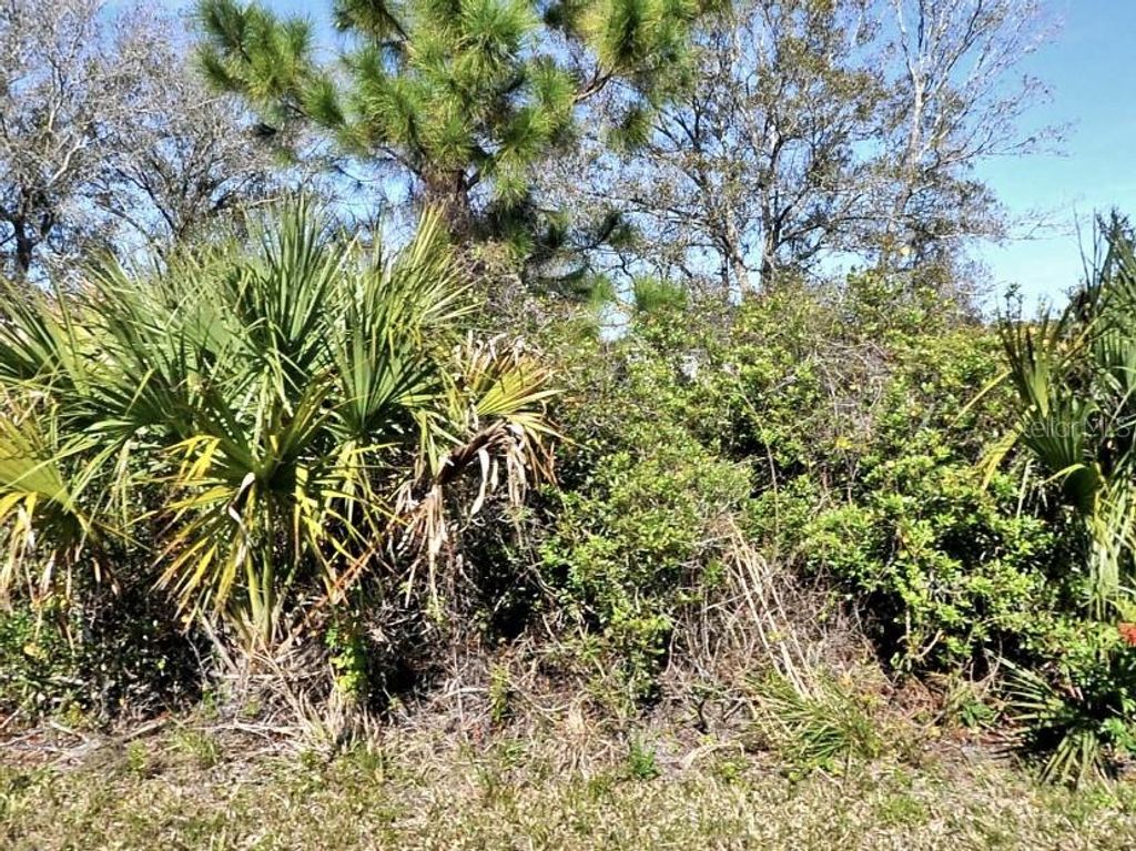 Photo of Ancient Road, North Port, FL 34286 (MLS # C7514981)
