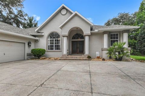 A home in HERNANDO