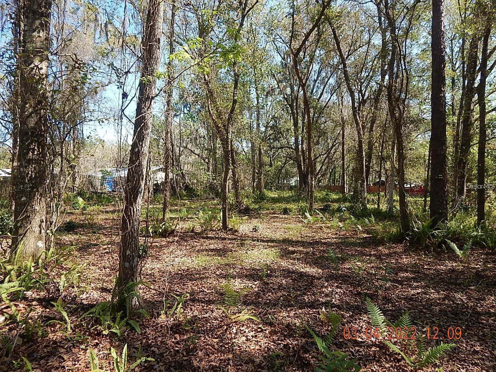 SEAWARD PLANTATION ESTATES - Land