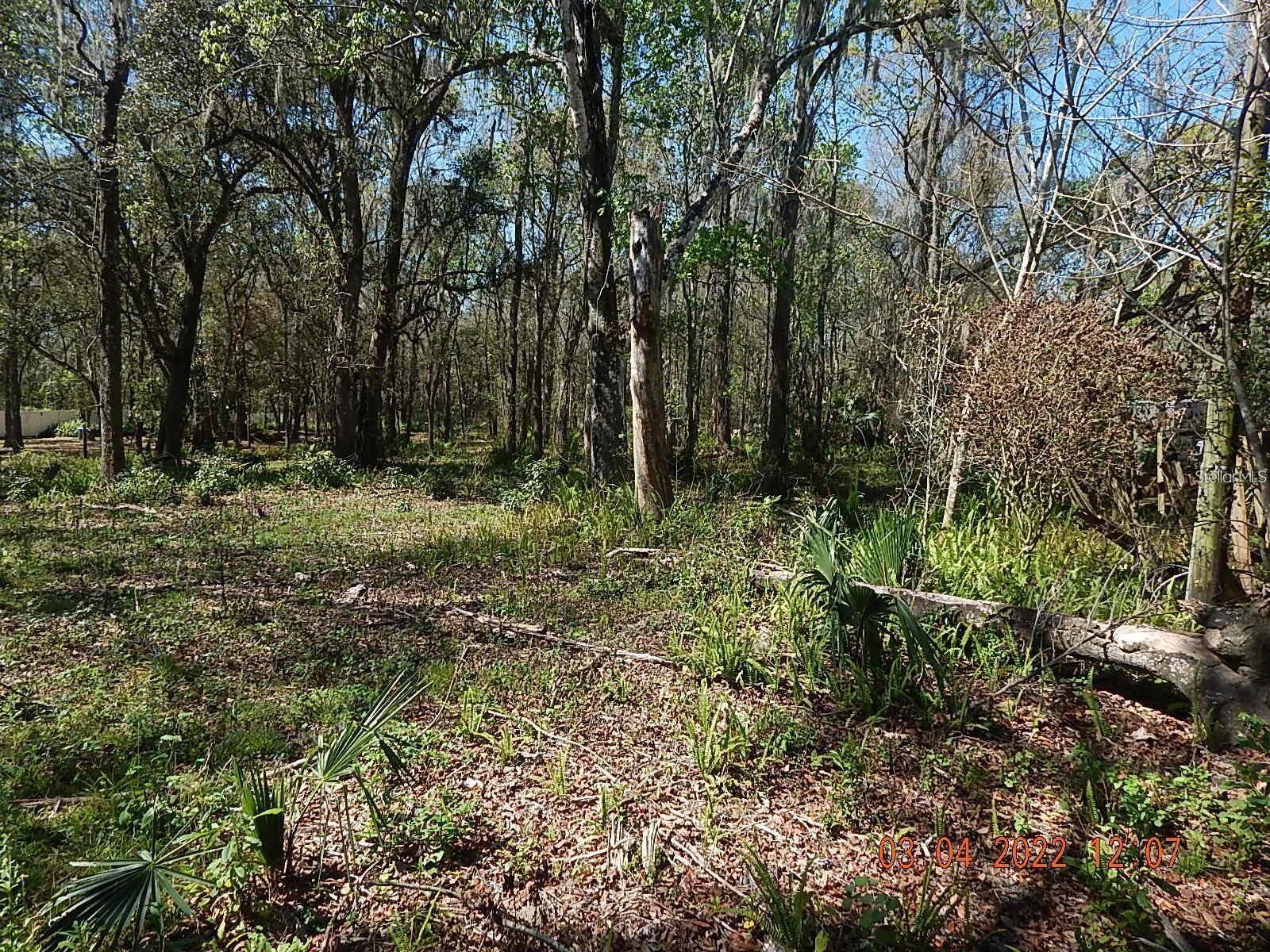 SEAWARD PLANTATION ESTATES - Land