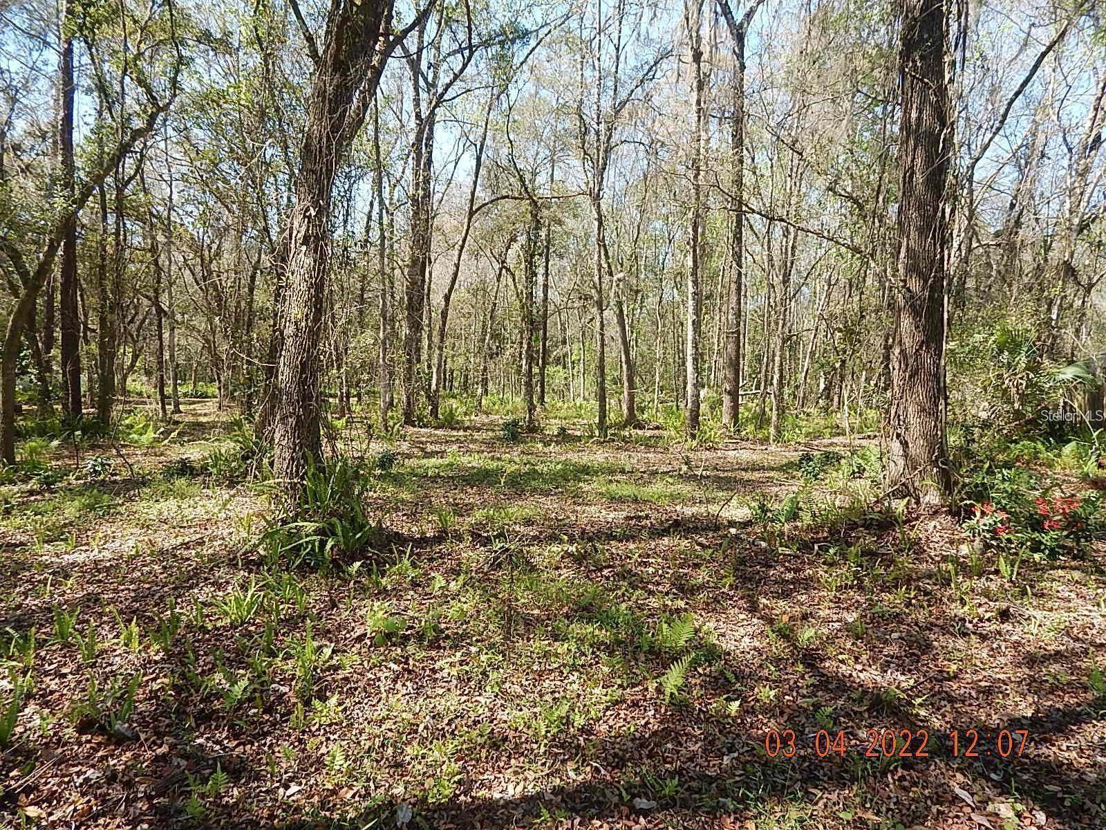 SEAWARD PLANTATION ESTATES - Land