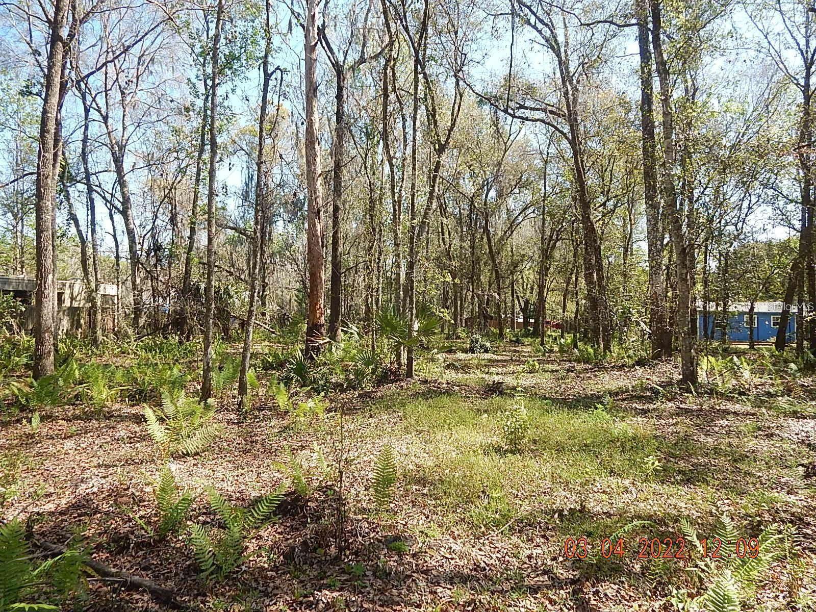 SEAWARD PLANTATION ESTATES - Land