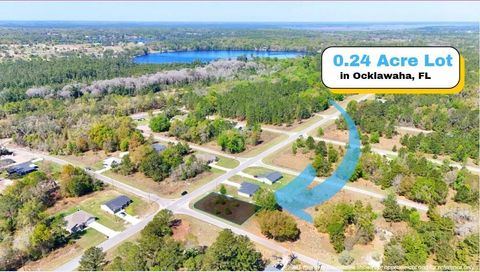 TBD FISHER ROAD OCKLAWAHA FL 32179