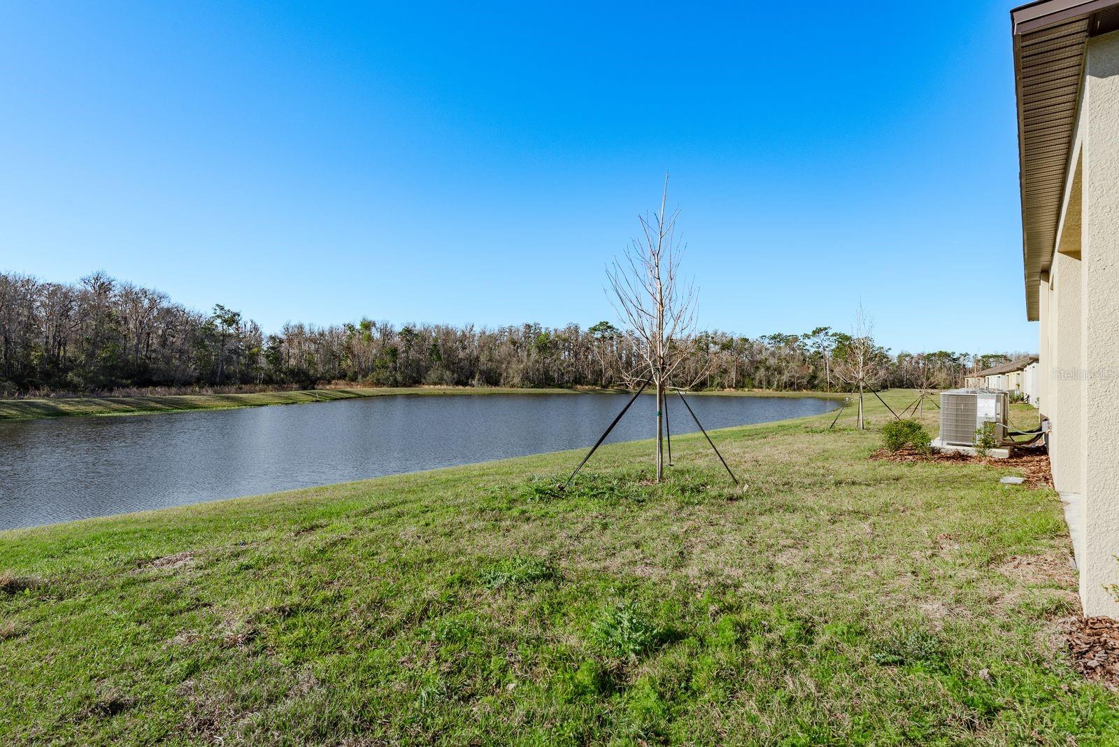 ANGELINE PH 4D - Residential Lease