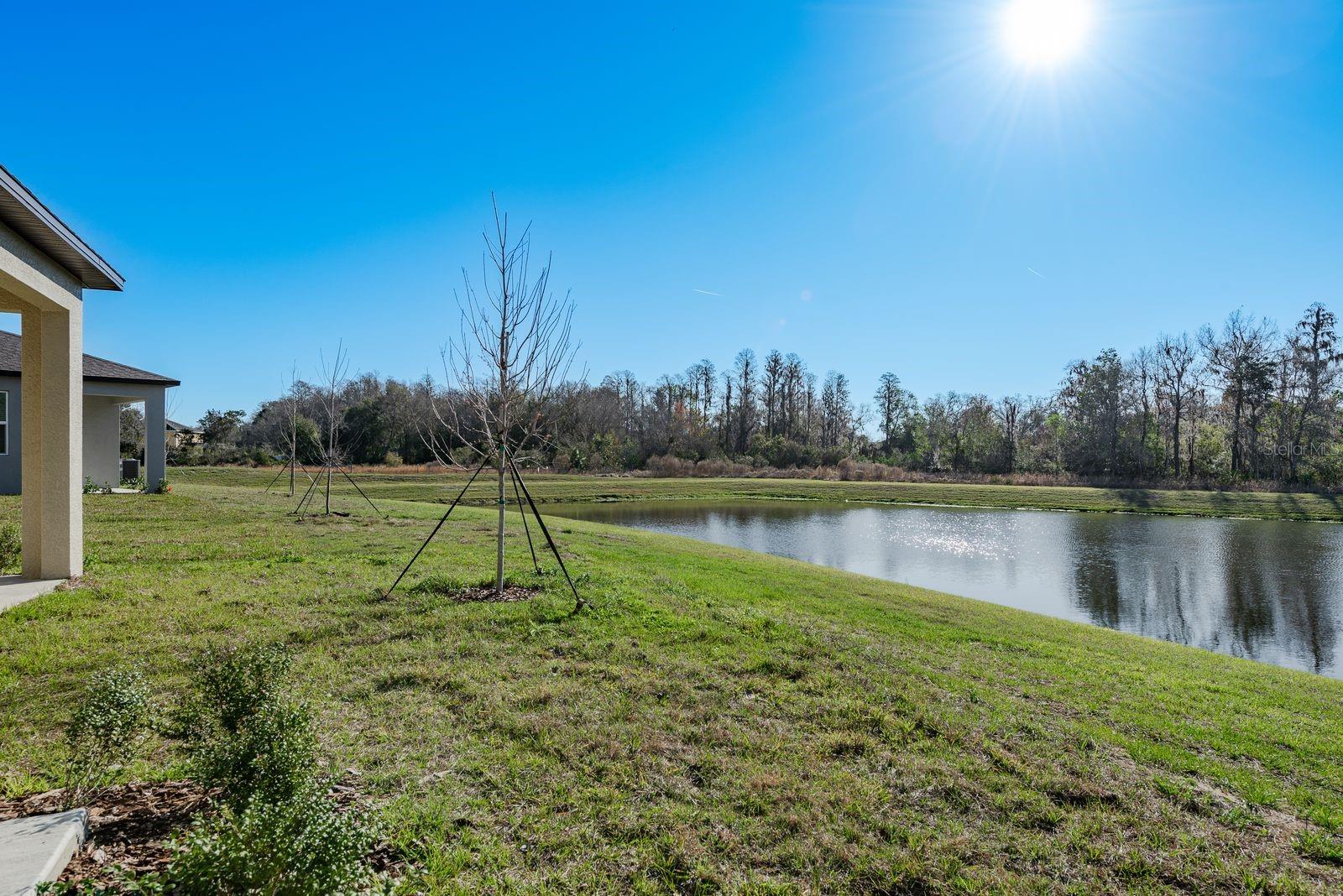 ANGELINE PH 4D - Residential Lease