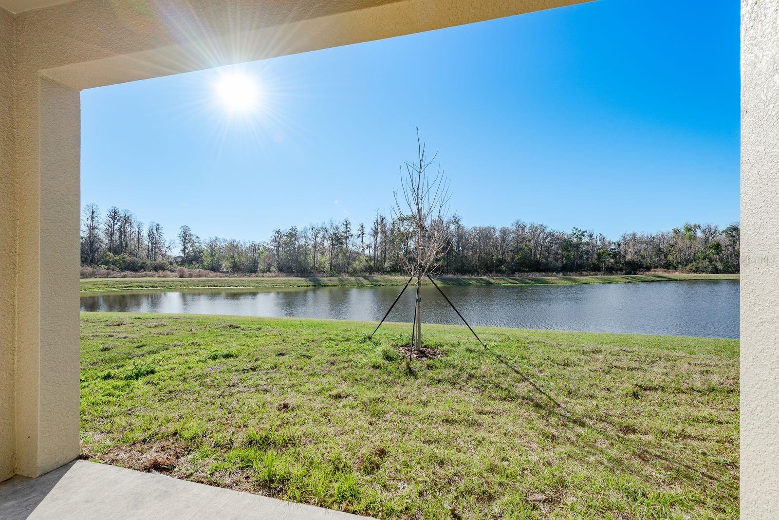 ANGELINE PH 4D - Residential Lease