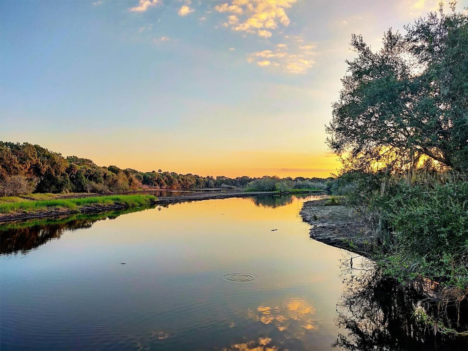SADDLE CREEK - Residential