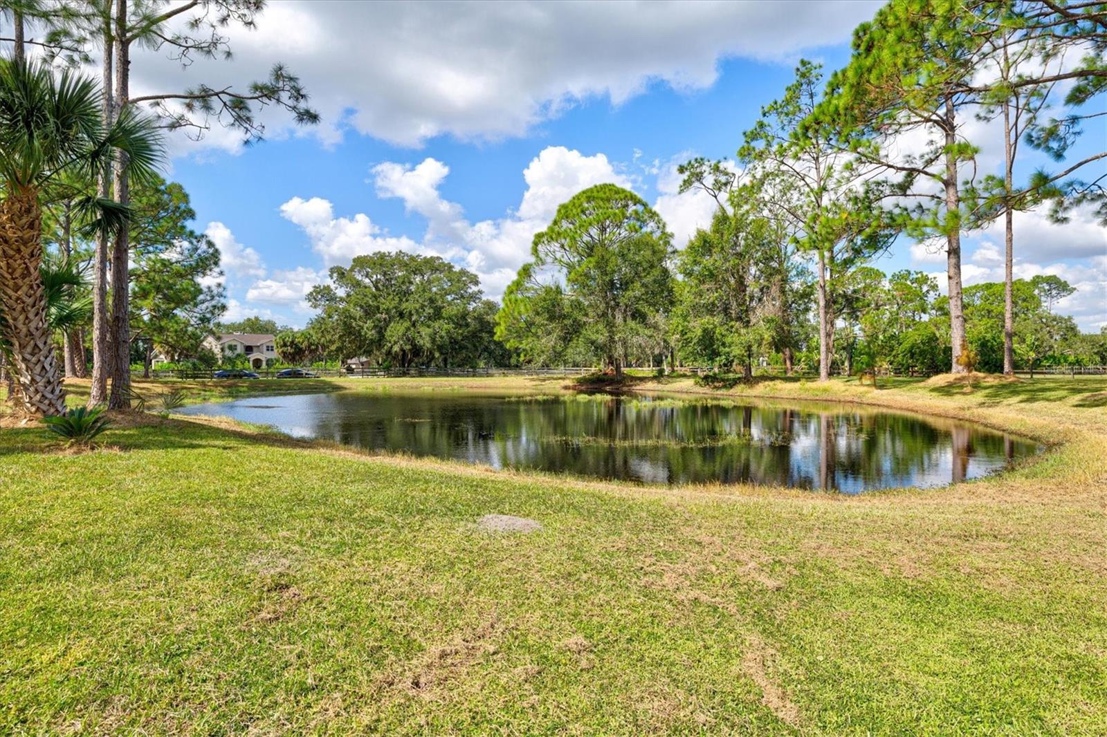 SADDLE CREEK - Residential