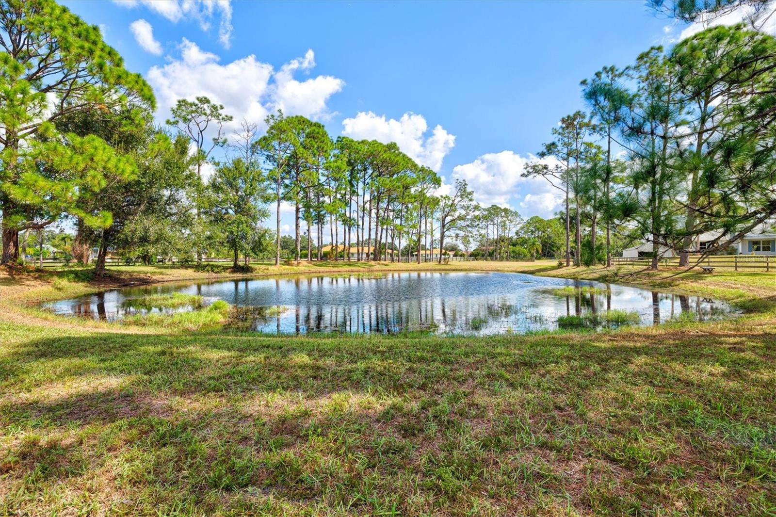 SADDLE CREEK - Residential