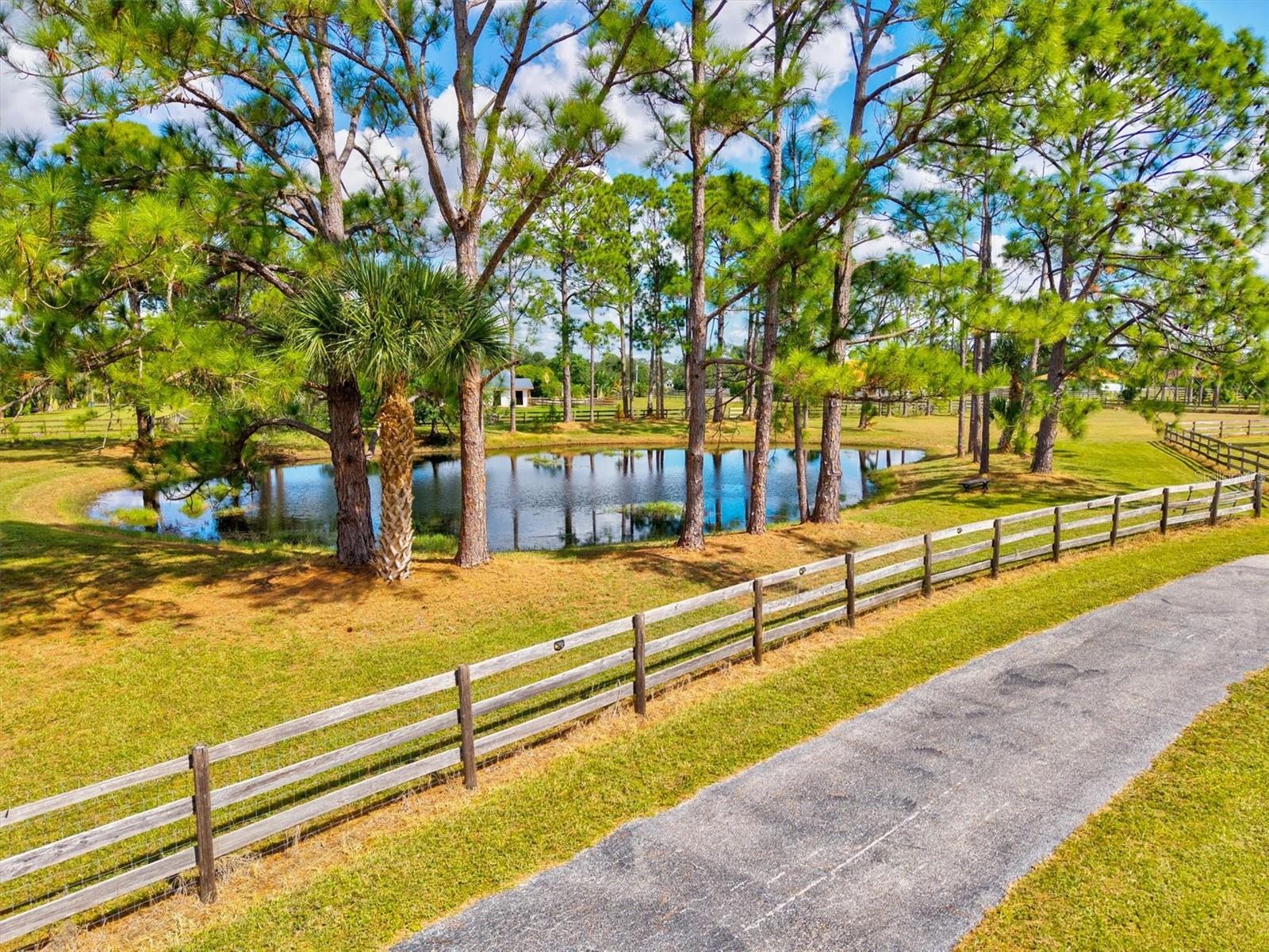 SADDLE CREEK - Residential