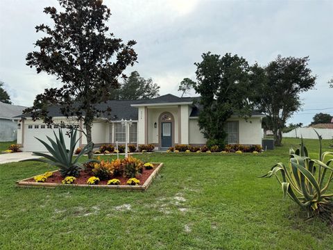 A home in DELTONA