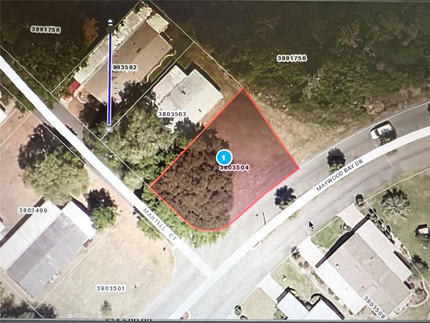 Own this gorgeous corner lot in the highly sought-after 55+ community of Lake Yale Estates! This level and buildable lot comes with a current survey and zoning approval in place for up to a 44ft X 26.5ft double wide mobile/manufactured home. Driveway could be built on either Maywood Bay Drive or Martell Court. This upscale community offers a clubhouse, community pool, dog park, shuffleboard court, horseshoe pit, fire pit area, dock for lake access and boat slips, and a gated RV/boat/trailer storage compound. LOW HOA! Boat slip also available for purchase for $1,000 through the HOA.