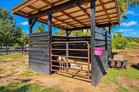 Tiny photo for 15940 NW 16th Avenue, Citra, FL 32113 (MLS # L4965504)