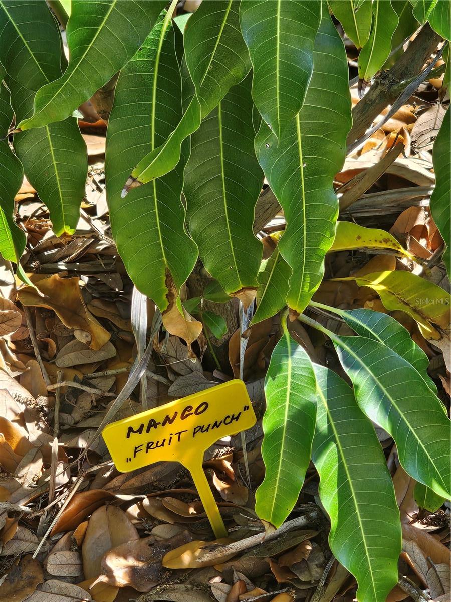 ELWOOD PARK RESUB BLKS70&72 UNREC - Residential