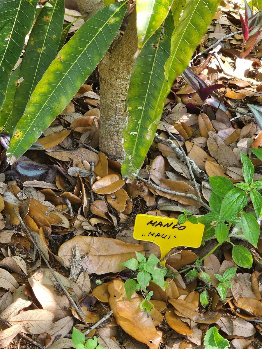 ELWOOD PARK RESUB BLKS70&72 UNREC - Residential