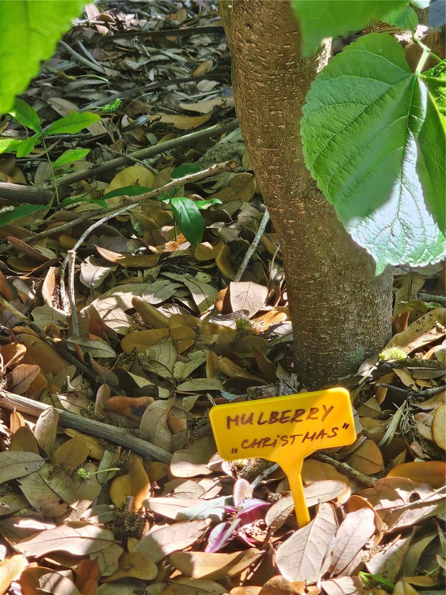 ELWOOD PARK RESUB BLKS70&72 UNREC - Residential