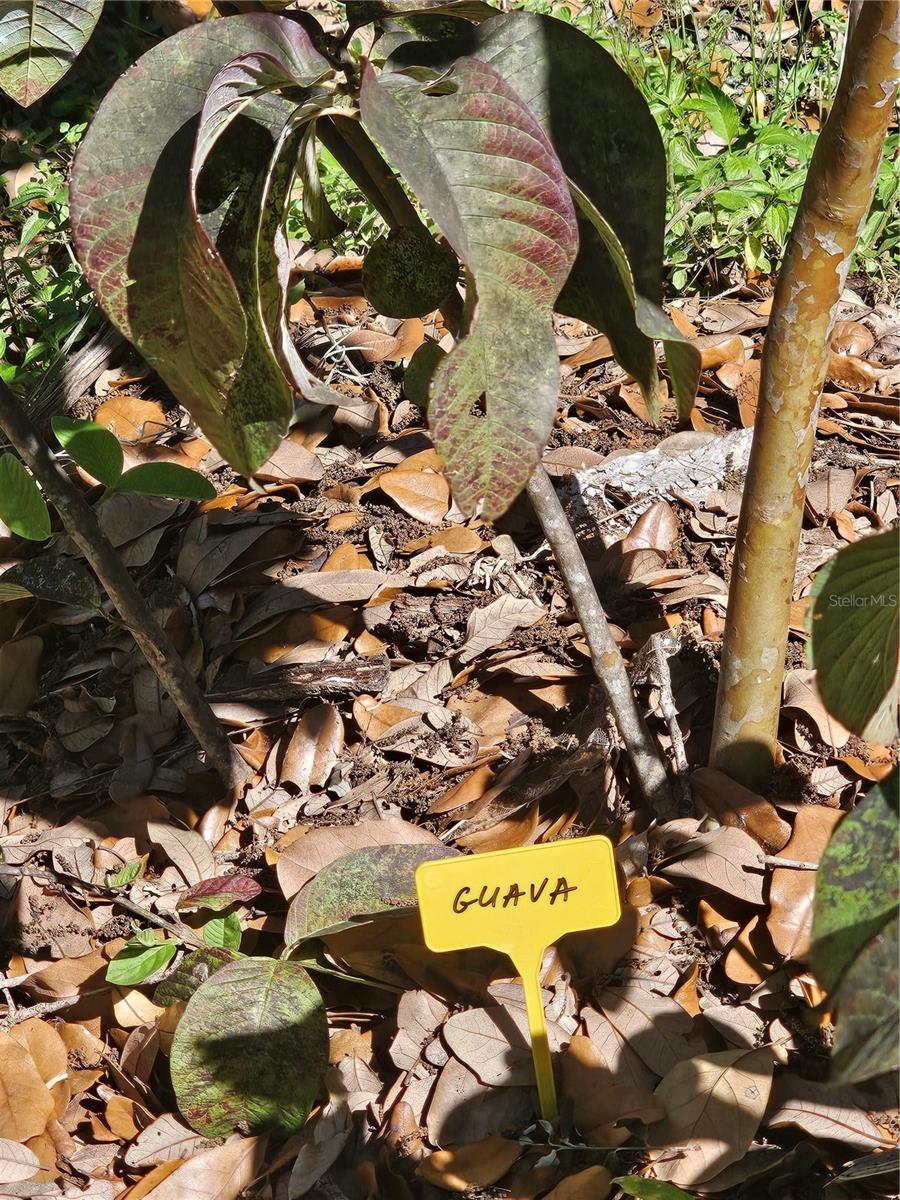 ELWOOD PARK RESUB BLKS70&72 UNREC - Residential